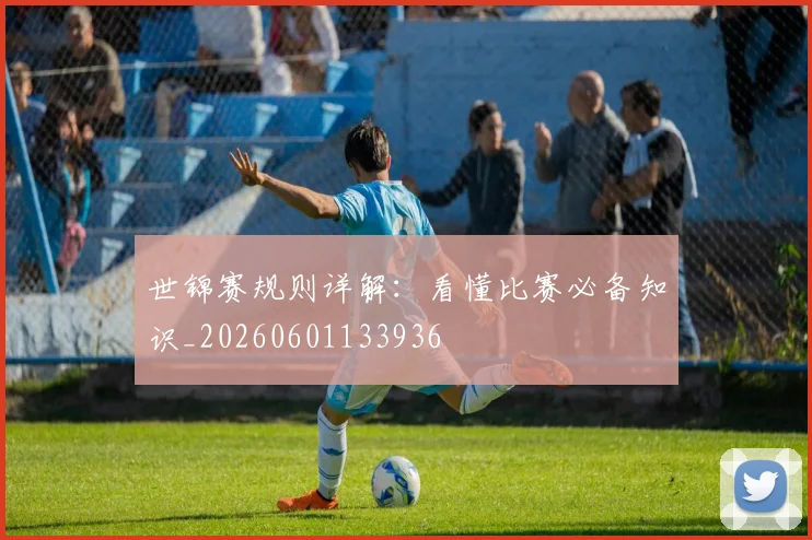 世锦赛规则详解:看懂比赛必备知识_20260601133936