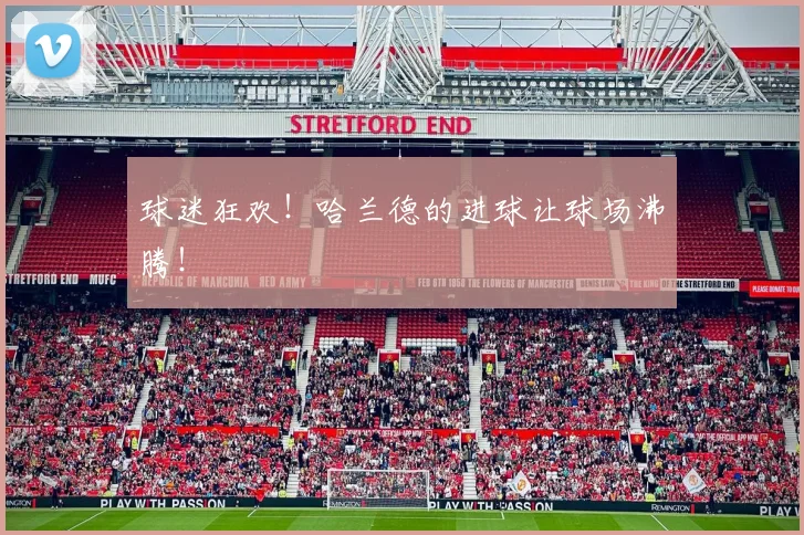球迷狂欢!哈兰德的进球让球场沸腾!