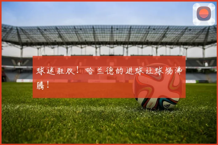 球迷狂欢！哈兰德的进球让球场沸腾！